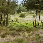 2003-romo-blabaervej-13 Bolilmark