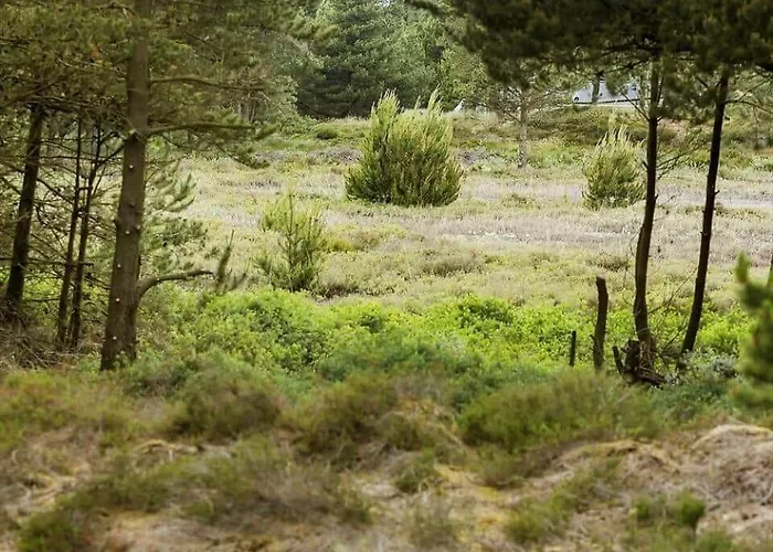 2003-romo-blabaervej-13 Bolilmark